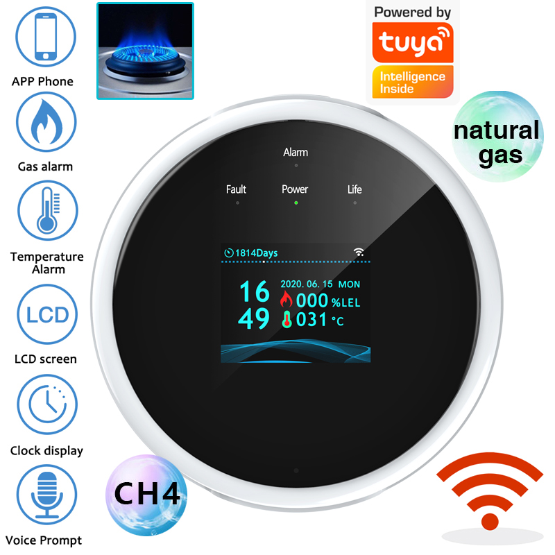 Home Security Tools - 2.4G WiFi Gas Alarm Sensor Combustible