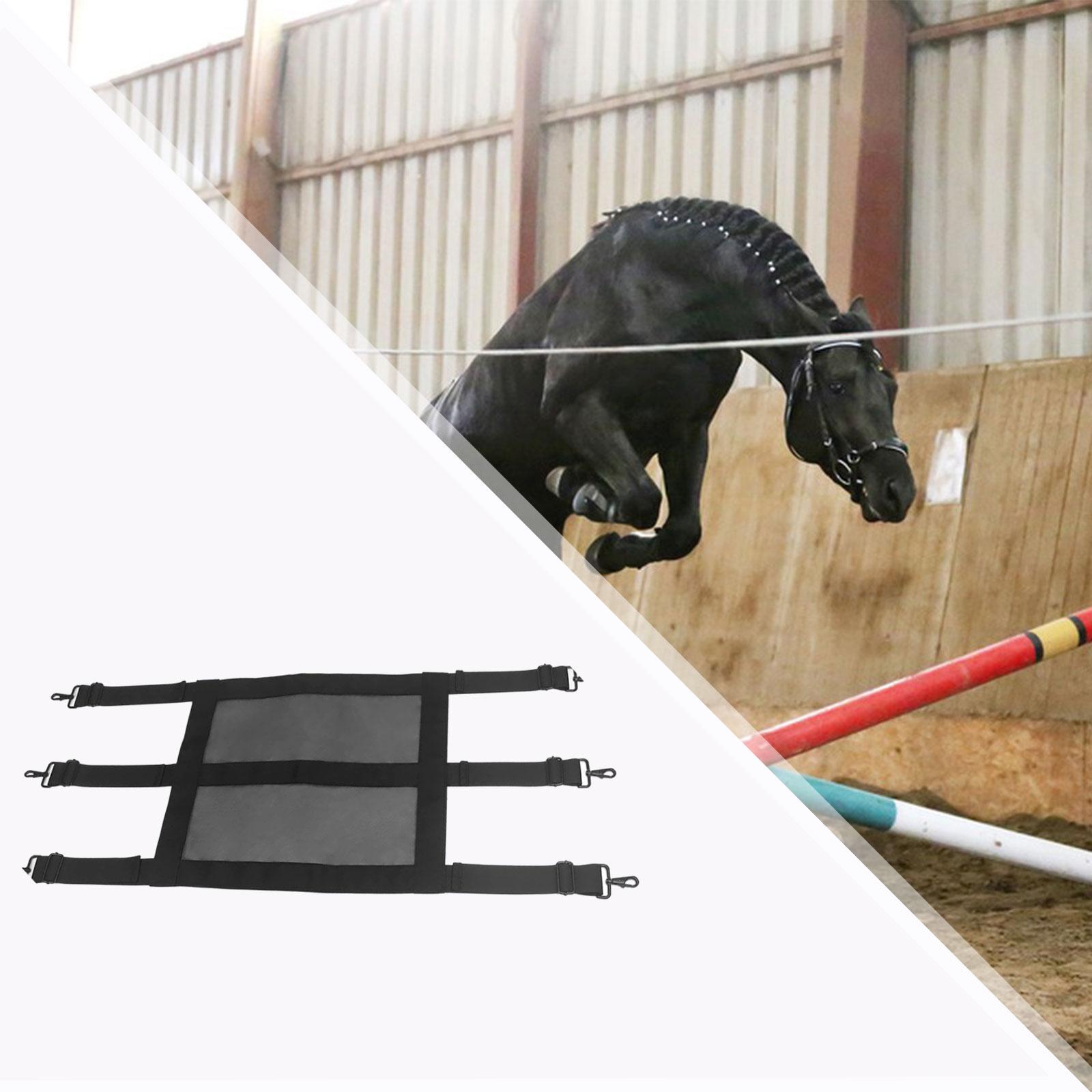 Extra Wide Mesh Horse Stall Gu - Door Chain Guard review and price