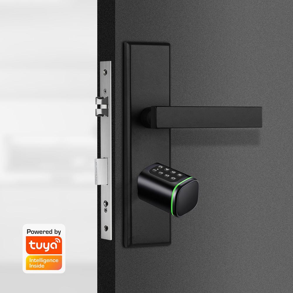 Smart Cylinder Lock Tuya 60-90 - Home Security Battery review and price