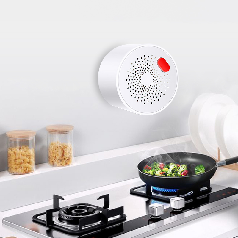 Tuya Smart Home Wifi Natural G - Home Security Tools review and price
