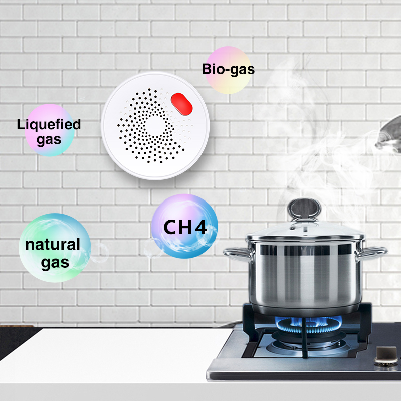 Tuya Smart Home Wifi Natural G - Home Security Tools review and price